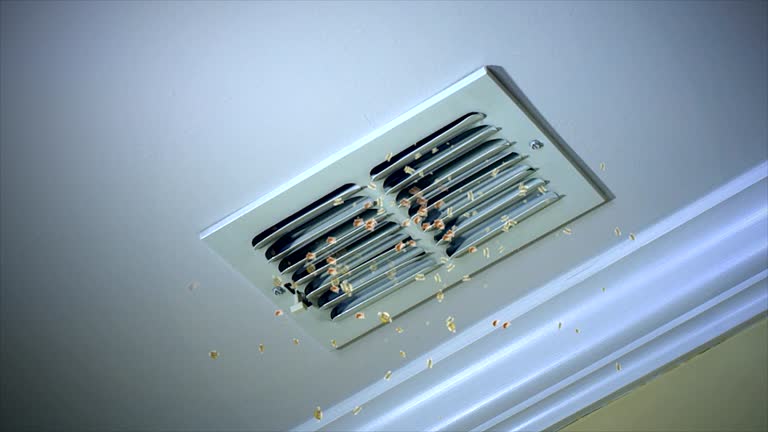 Best Affordable Air Duct Cleaning  in Berino, NM